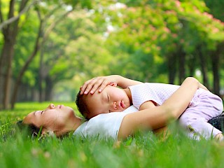 kurze Transportwege für gute Ökobilanz